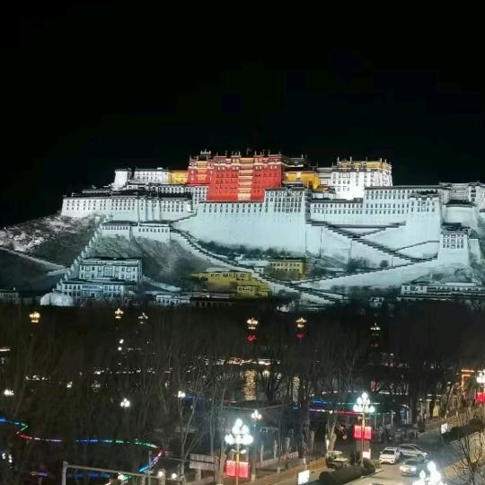 卷柏，，，，，