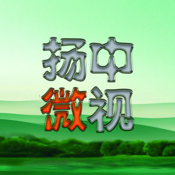 自强🐻熊猫