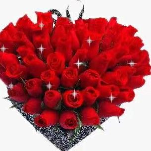 玫瑰花🌹