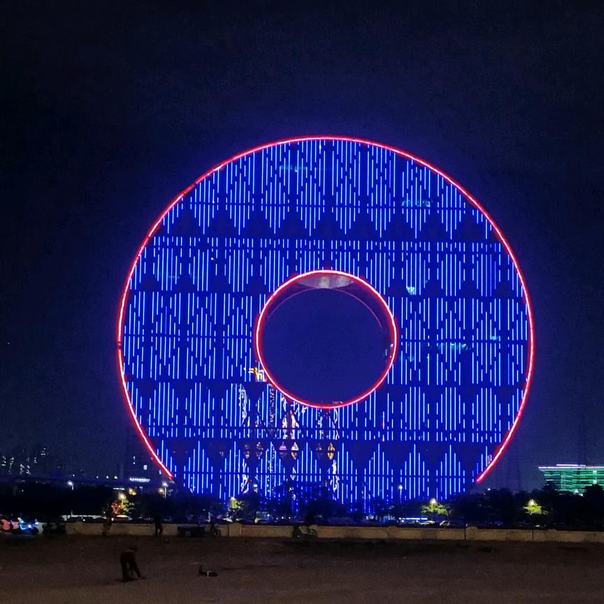 鲤鱼