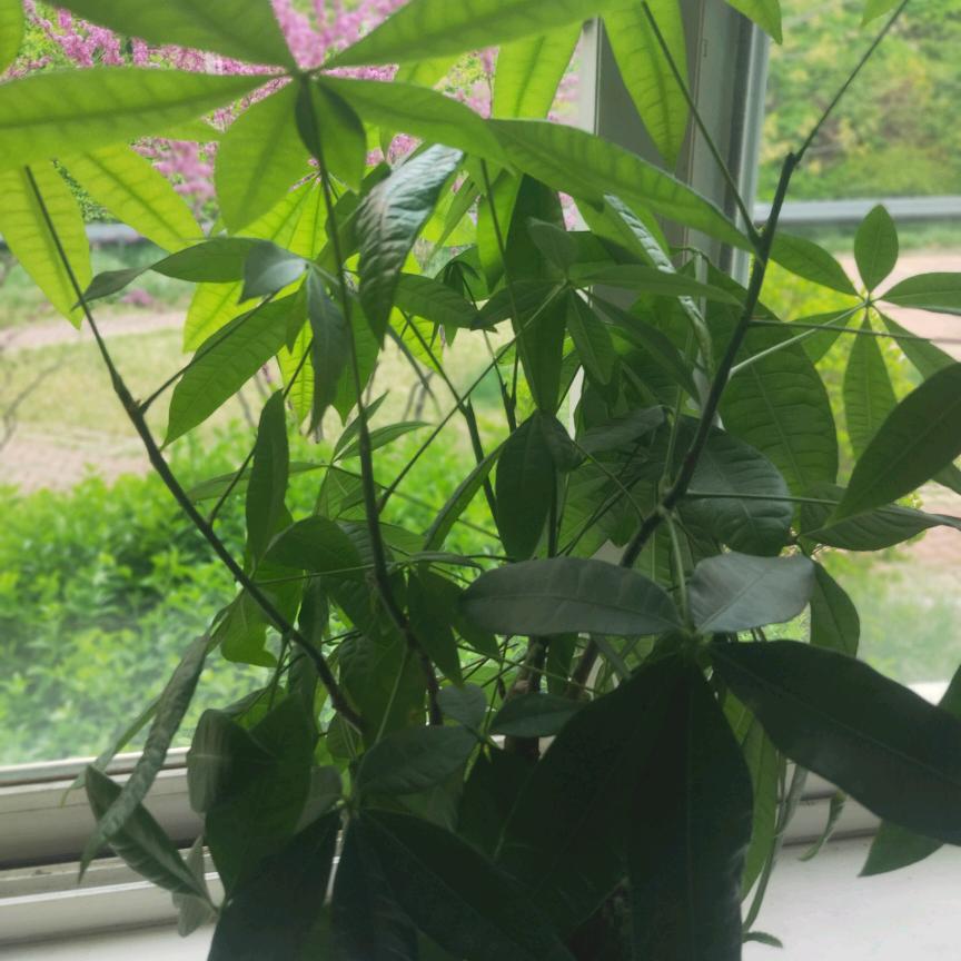 云游天下头像