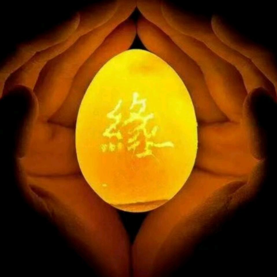 相识是缘