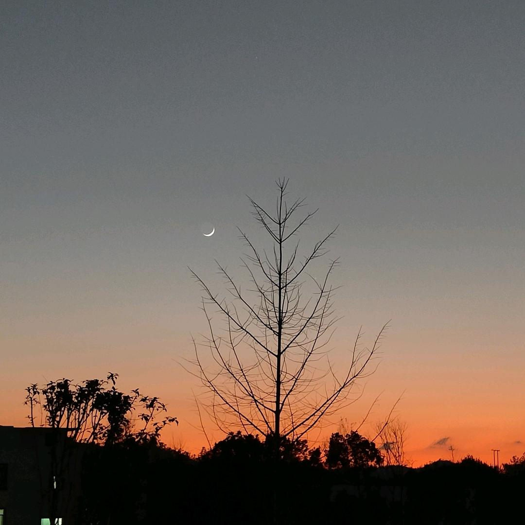 从愚