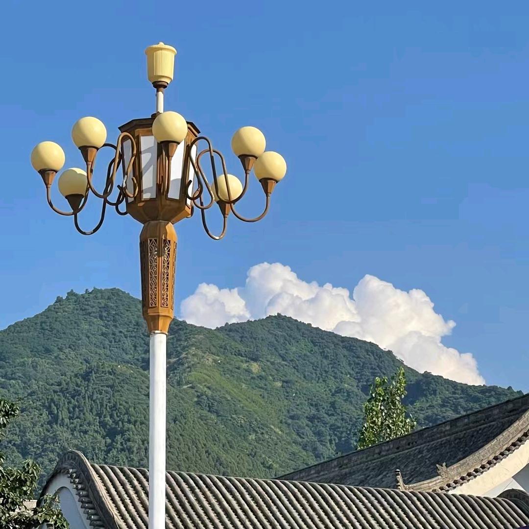 蛋蛋妈咪