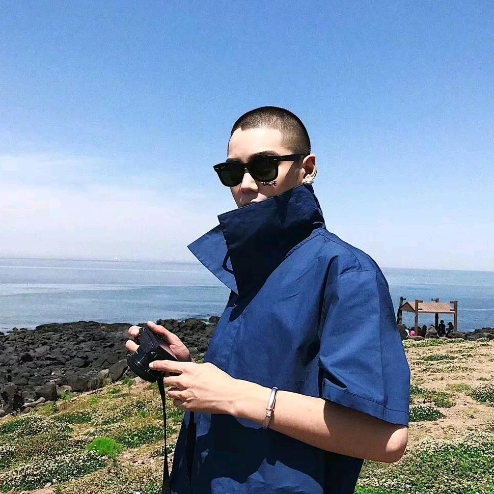 风吹草低现牛羊