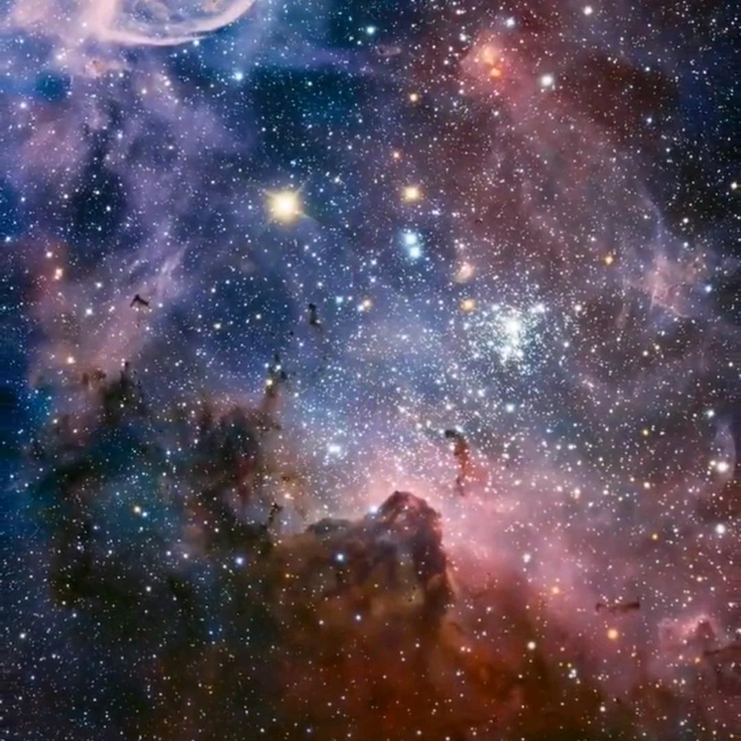 ✨