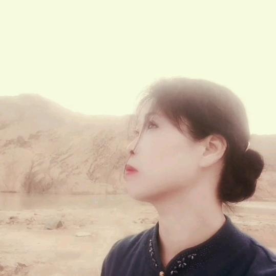 蒲公英1