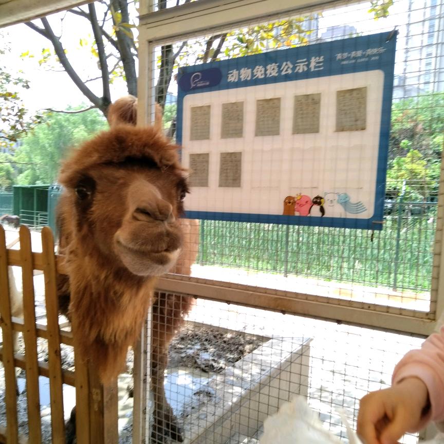 用户2081678846843