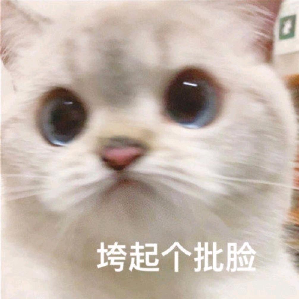 乌梢蛇