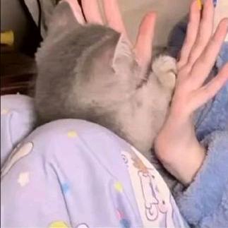 小绾