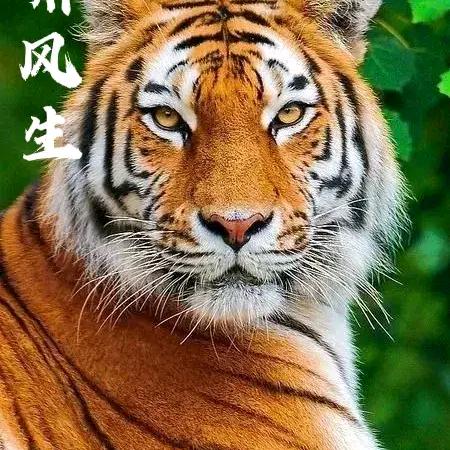 白水