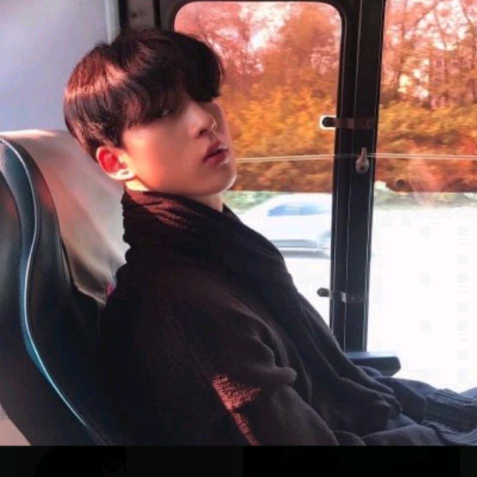 追❤️梦影视
