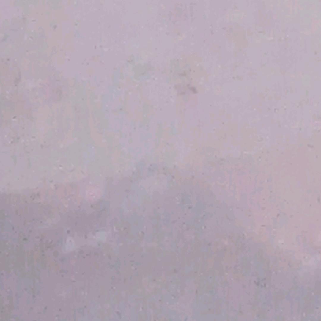 我把健康弄丢了