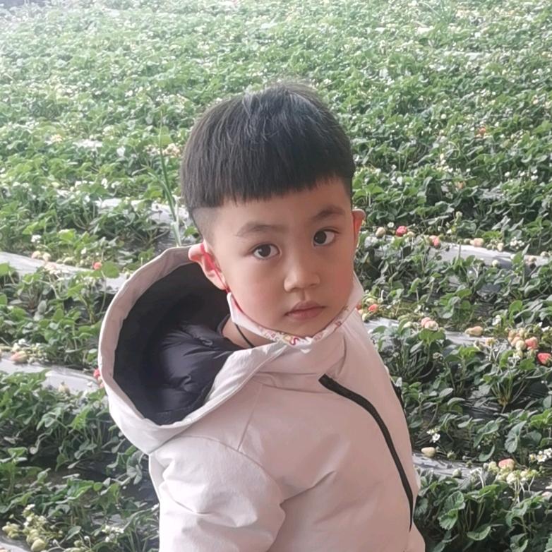 阳阳
