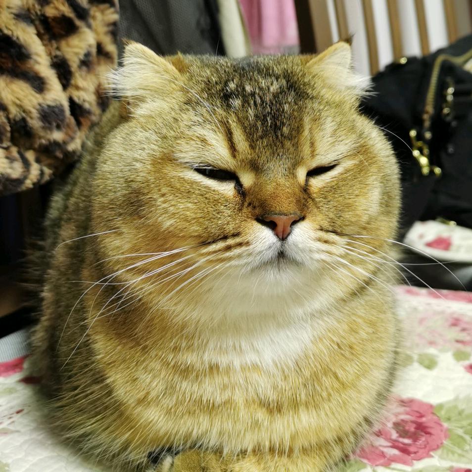 28.95磅
