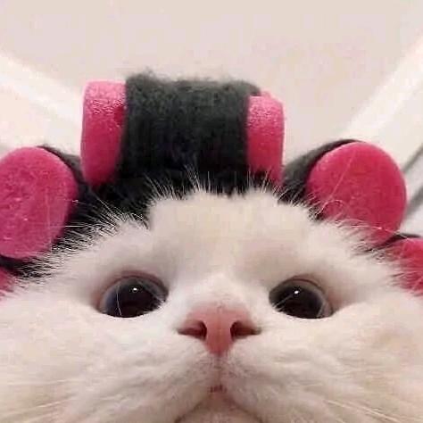 不想早起😪