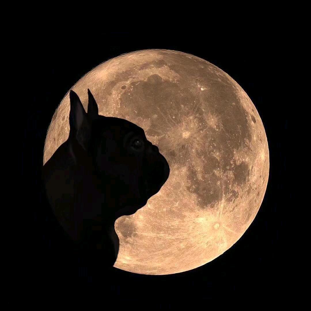 Tonny邓宠美培训