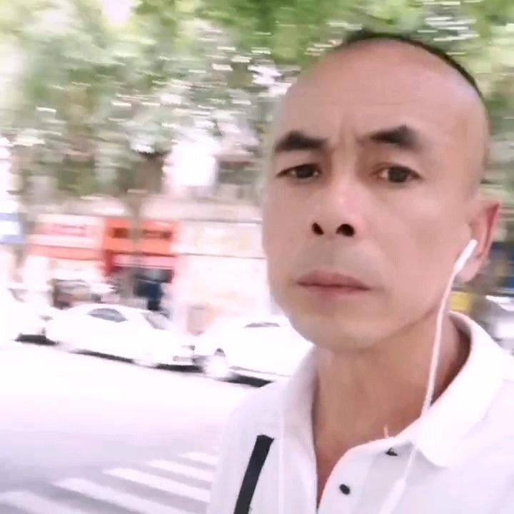 大龙