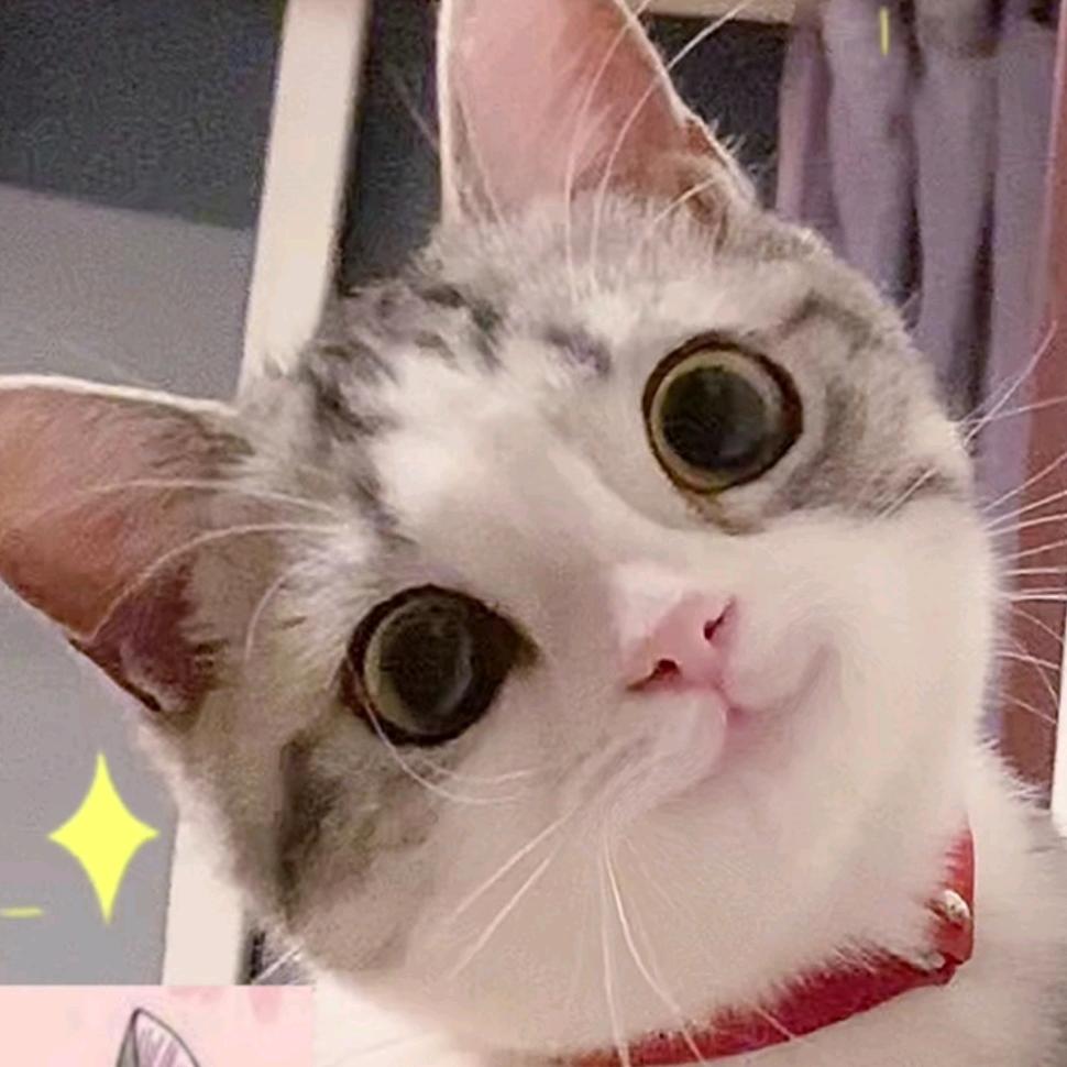 动次打次～（养生版）