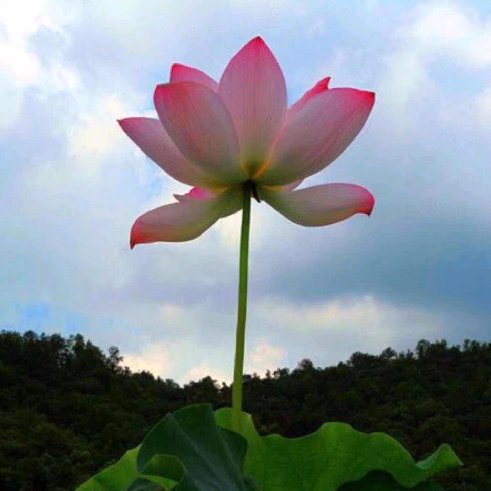 奔向未来