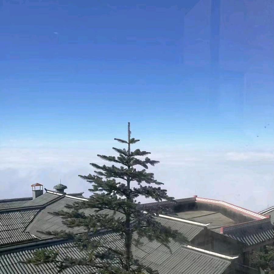 老米