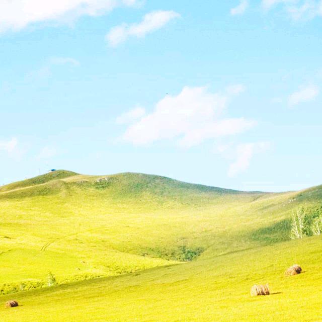 丫头