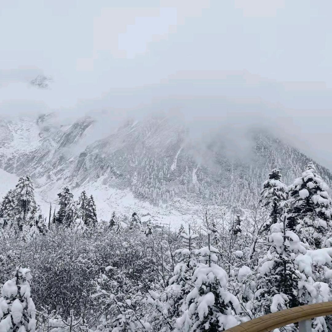 燕落 花开