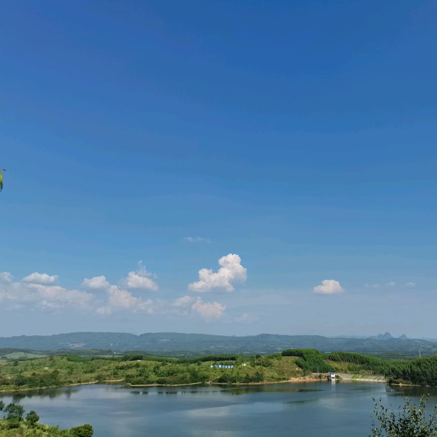 @小凤九