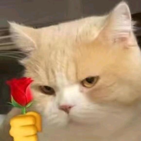 猕猴桃.