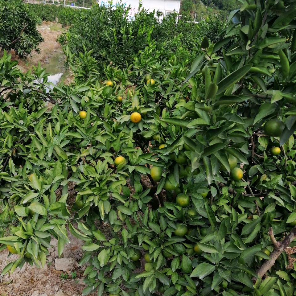 ༄༅༉奋斗ཽ༒༻