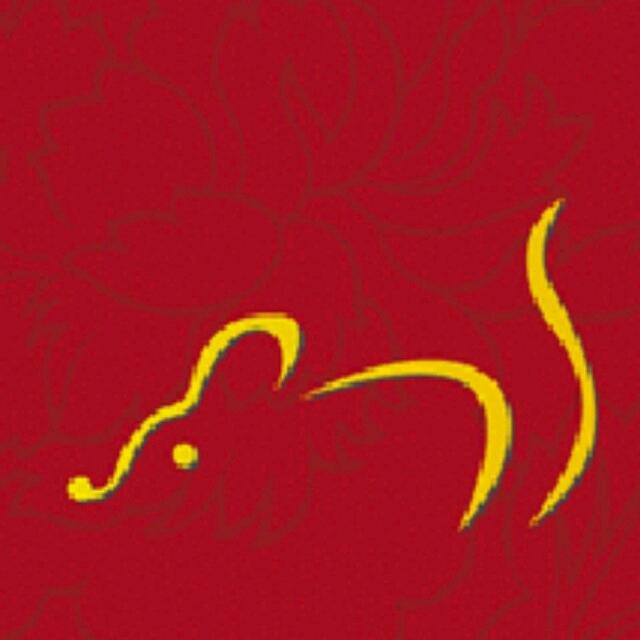 中國男體育教師