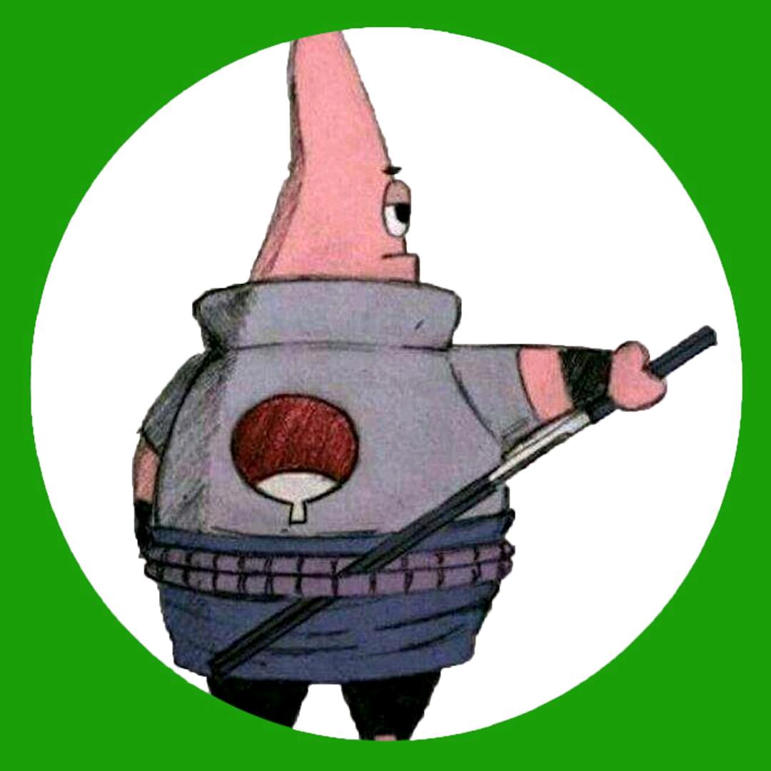 派大博