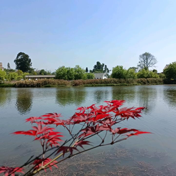 青山綠水