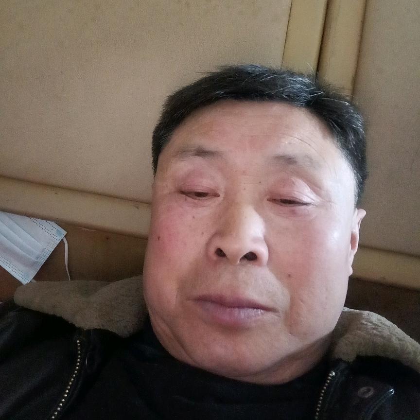 老猫