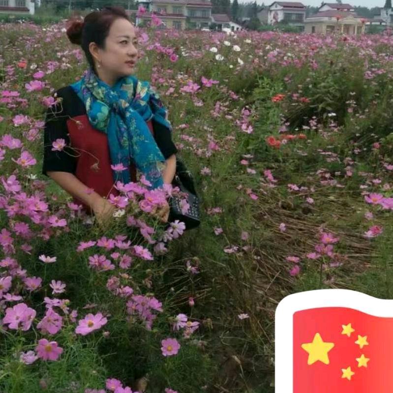 小天使幼儿园