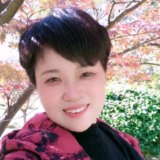 洒脱橘子c8