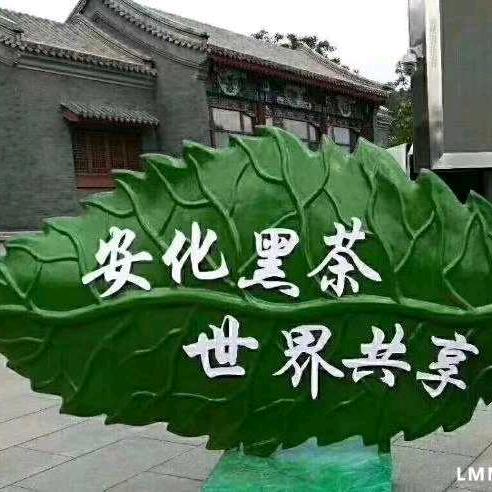 高绪芳（健康第一）