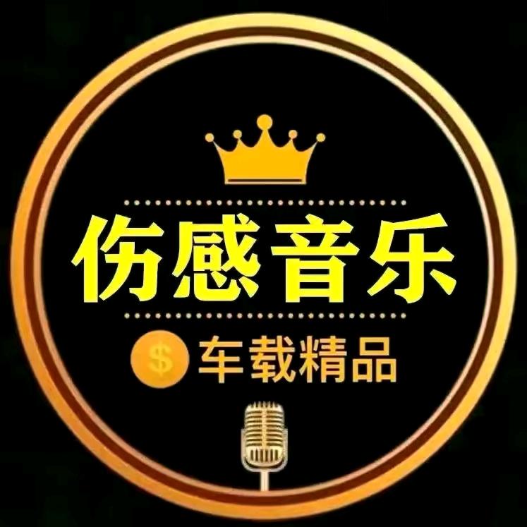 伤感音乐『订购优盘』