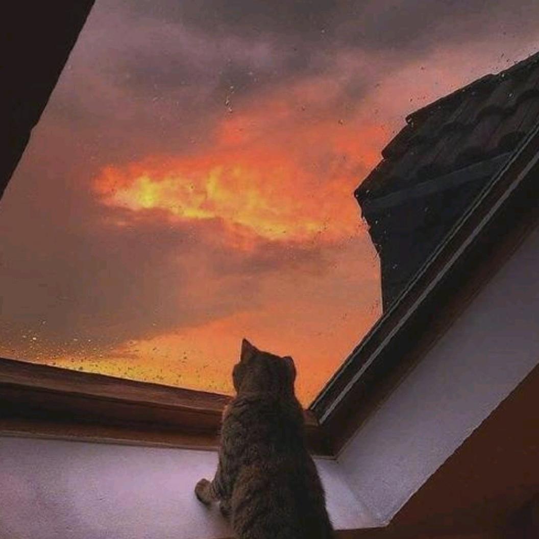 微光∞