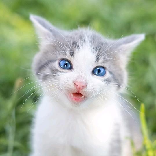 请叫《我》姐夫