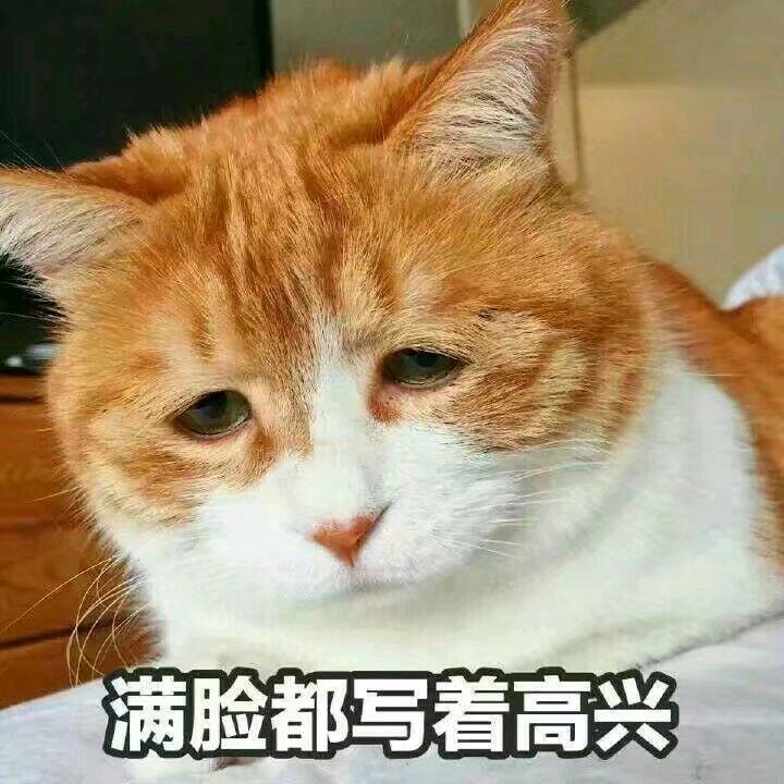 星辞