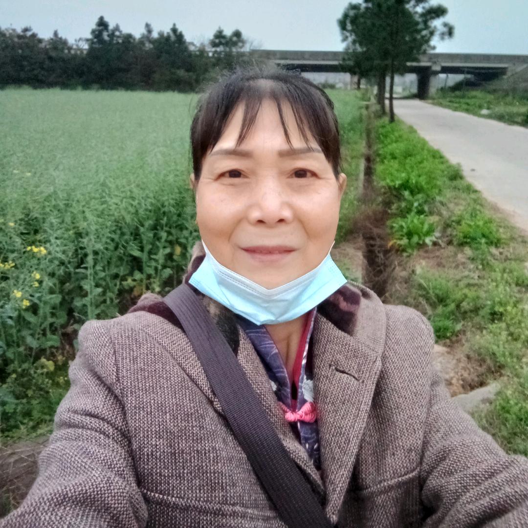 康琴