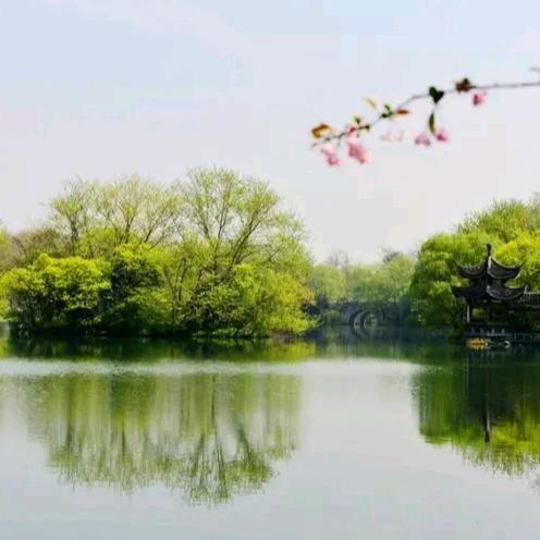 青花鱼彩·河谐家园