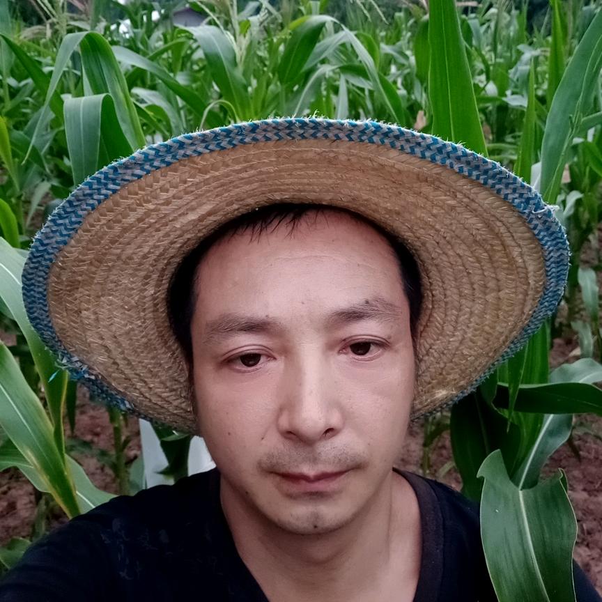 中医有机标准玉米刘同志