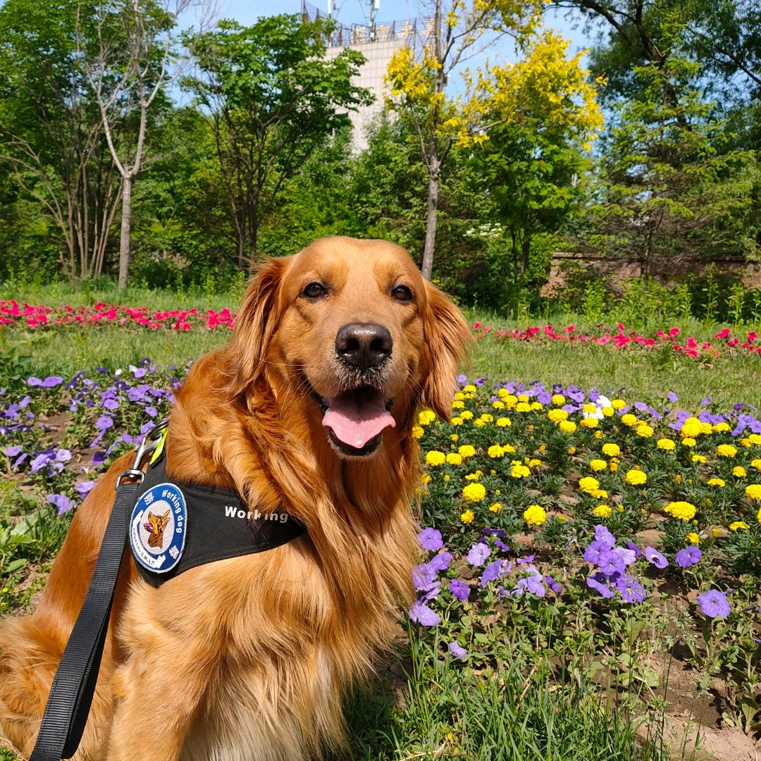 爱吃鱼🐠的猫🐱