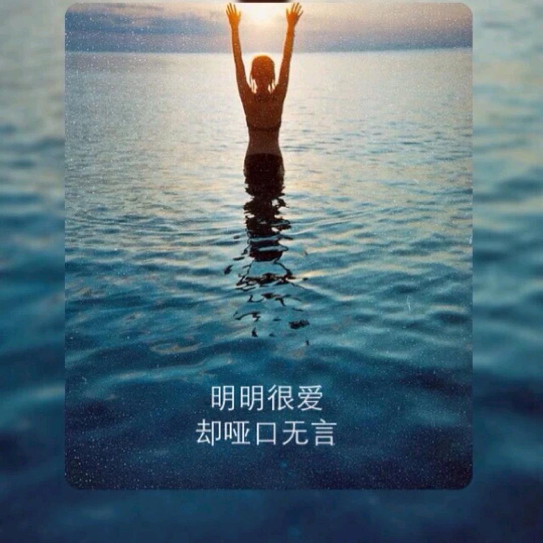 浊酒煮情怀。