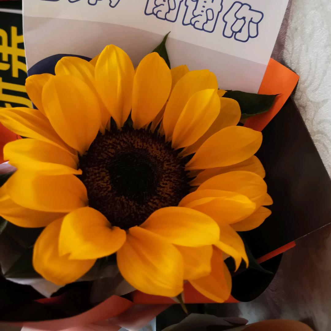 小米.