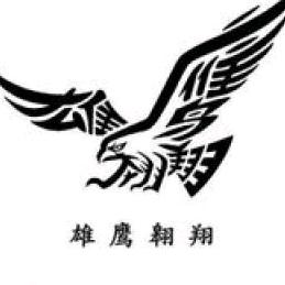 雄鹰翱翔看世界