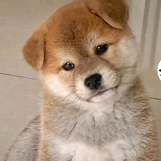 暖冬