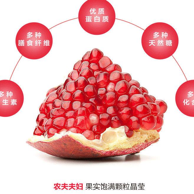 土司府软籽石榴